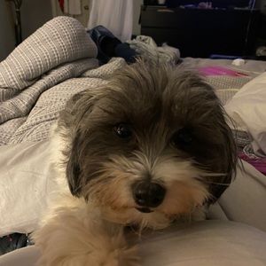 Meet your Posher, Camila